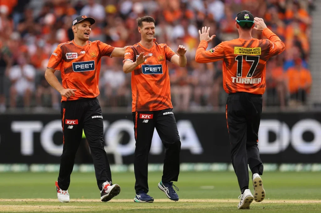 David Payne BBL stats