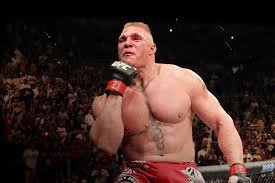 Brock Lesnar UFC career earnings