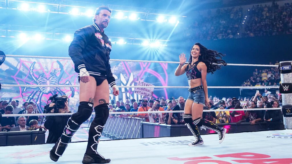 CM Punk and AJ Lee net worth 2026