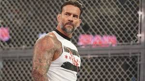 CM Punk net worth 2026